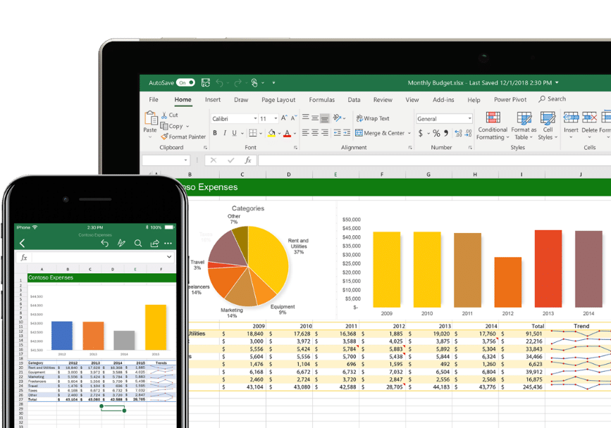 Microsoft Excel